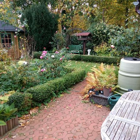 Ruhige, Gemuetliche 1-Zimmer Gartenwohnung Fuer 2 Erwachsene Lübeck Extérieur photo